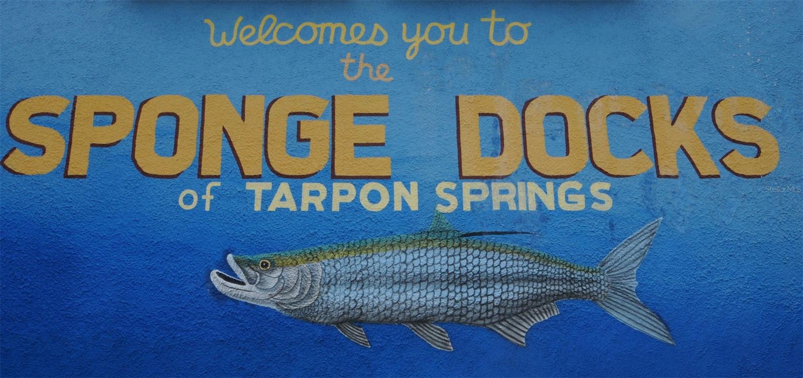 1512 BIG BASS DR, TARPON SPRINGS, FL, 34689