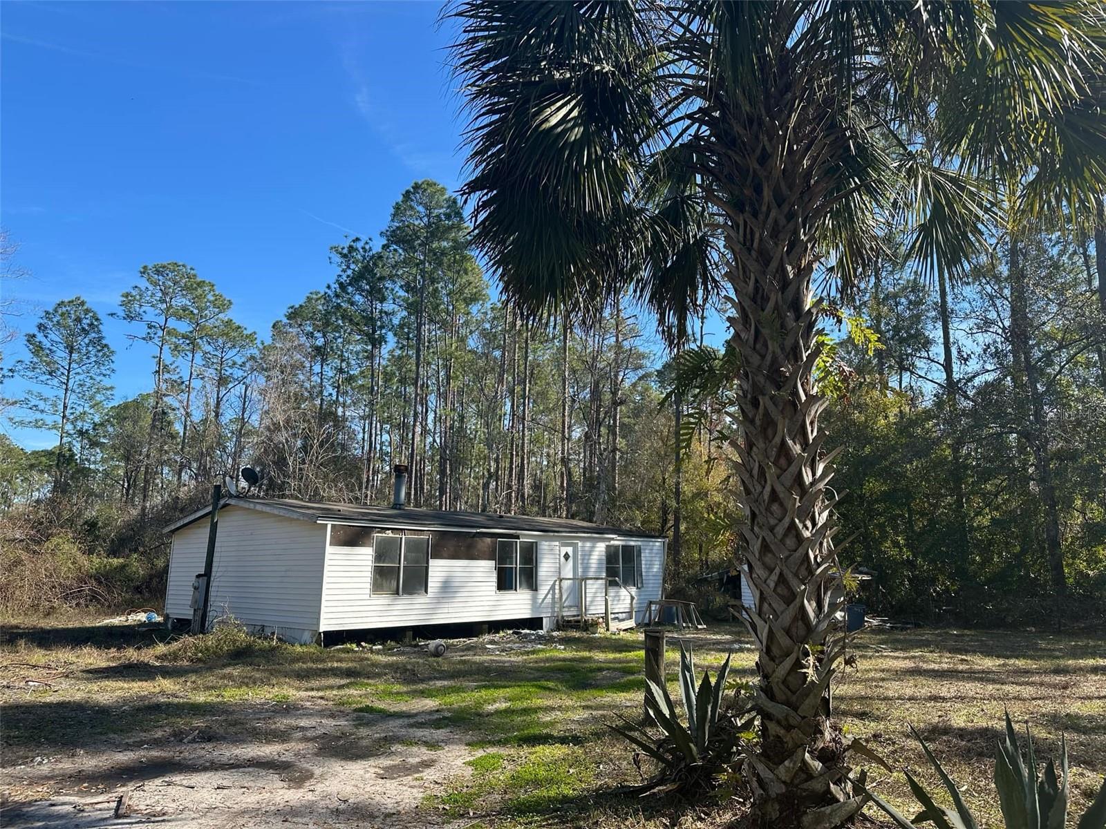 1635 BERRYBUSH ST, BUNNELL, FL, 32110
