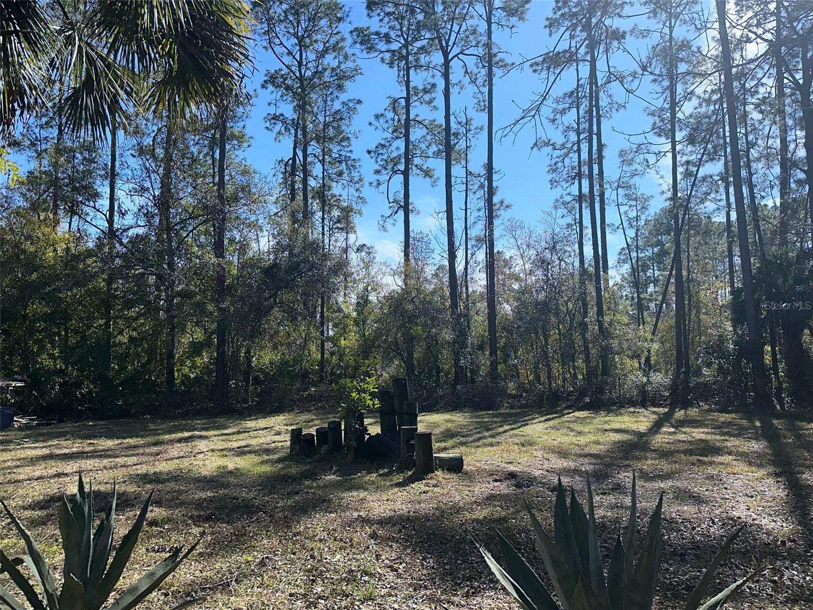 1635 BERRYBUSH ST, BUNNELL, FL, 32110
