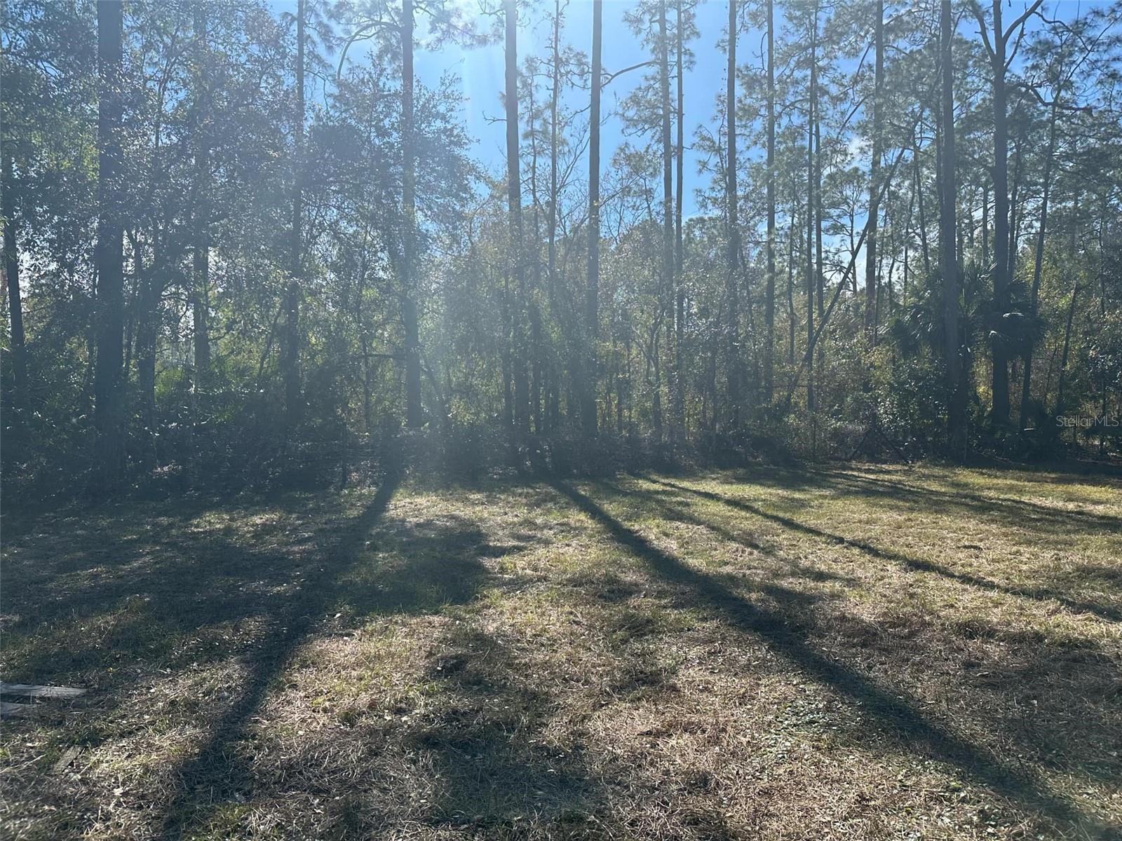 1635 BERRYBUSH ST, BUNNELL, FL, 32110