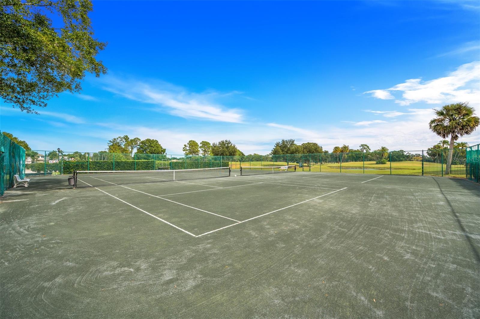 16130 CRAIGEND PL, ODESSA, FL, 33556
