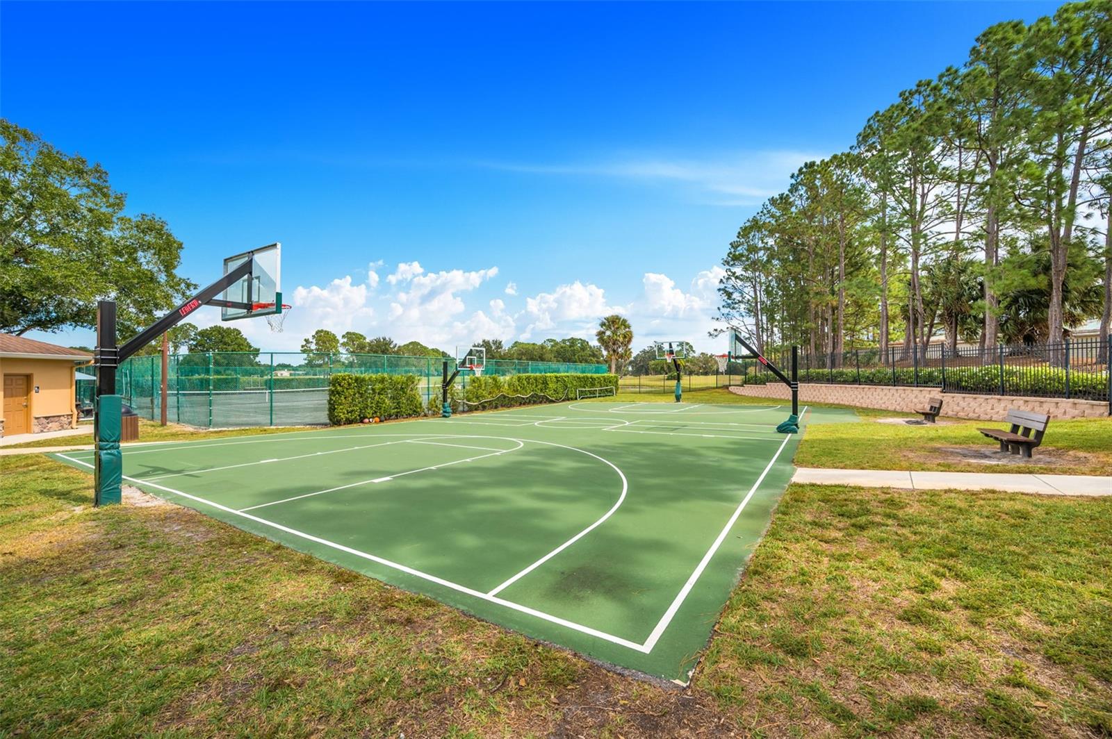16130 CRAIGEND PL, ODESSA, FL, 33556