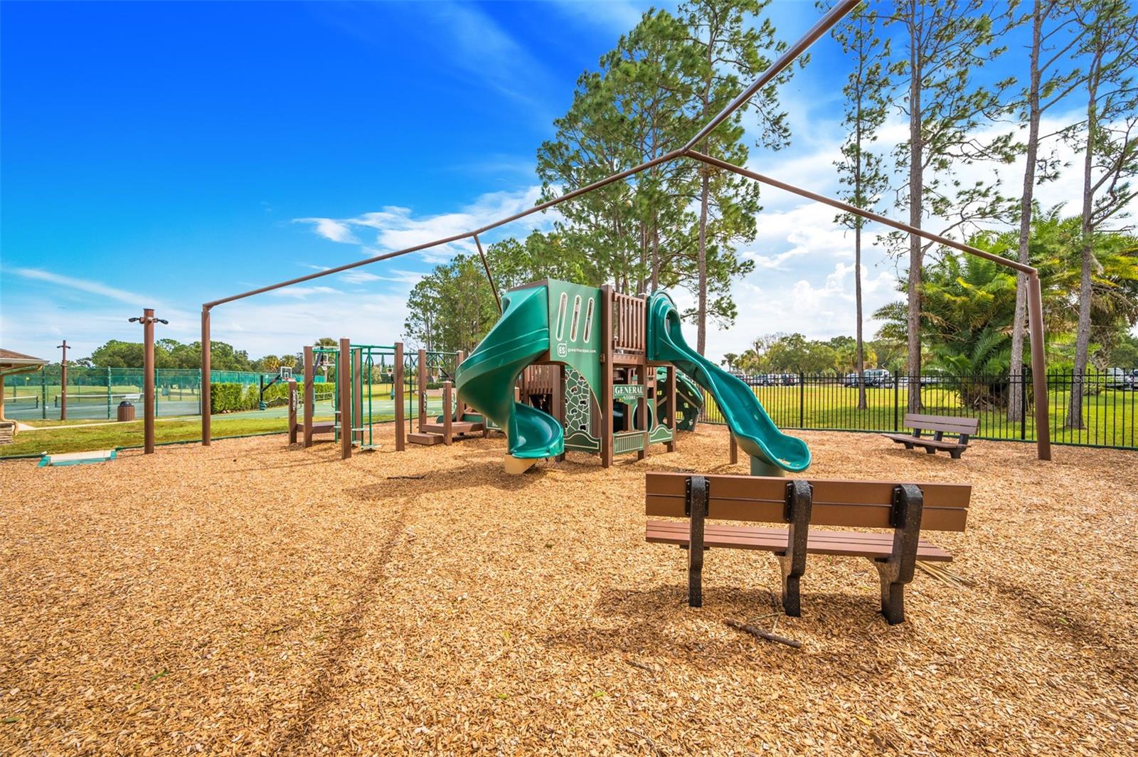 16130 CRAIGEND PL, ODESSA, FL, 33556