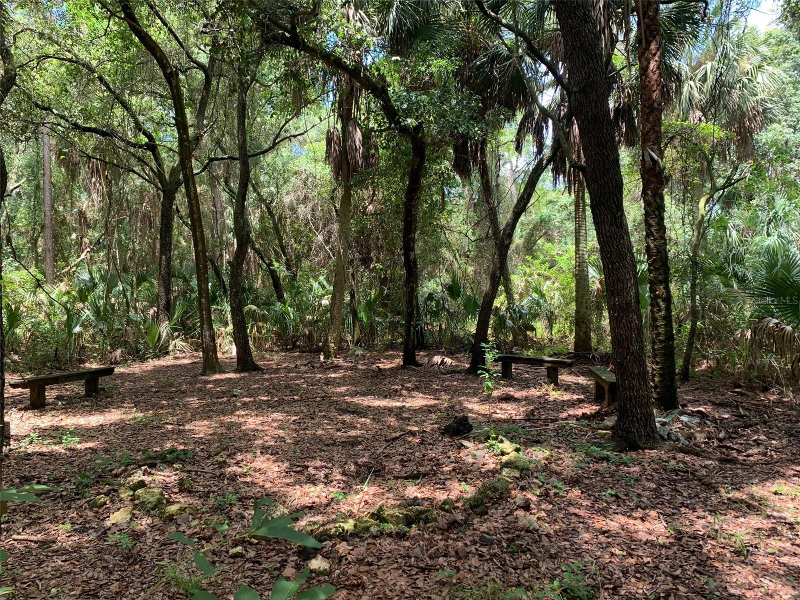 1101 ANCLOTE BLVD, TARPON SPRINGS, FL, 34689