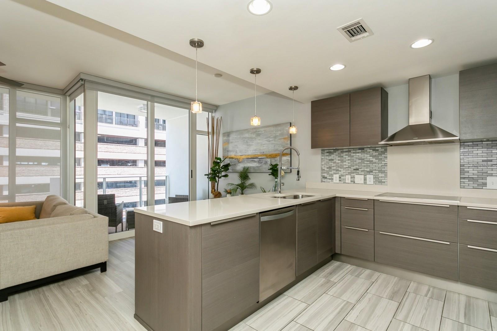 145 2ND AVE S #616., ST PETERSBURG, FL, 33701