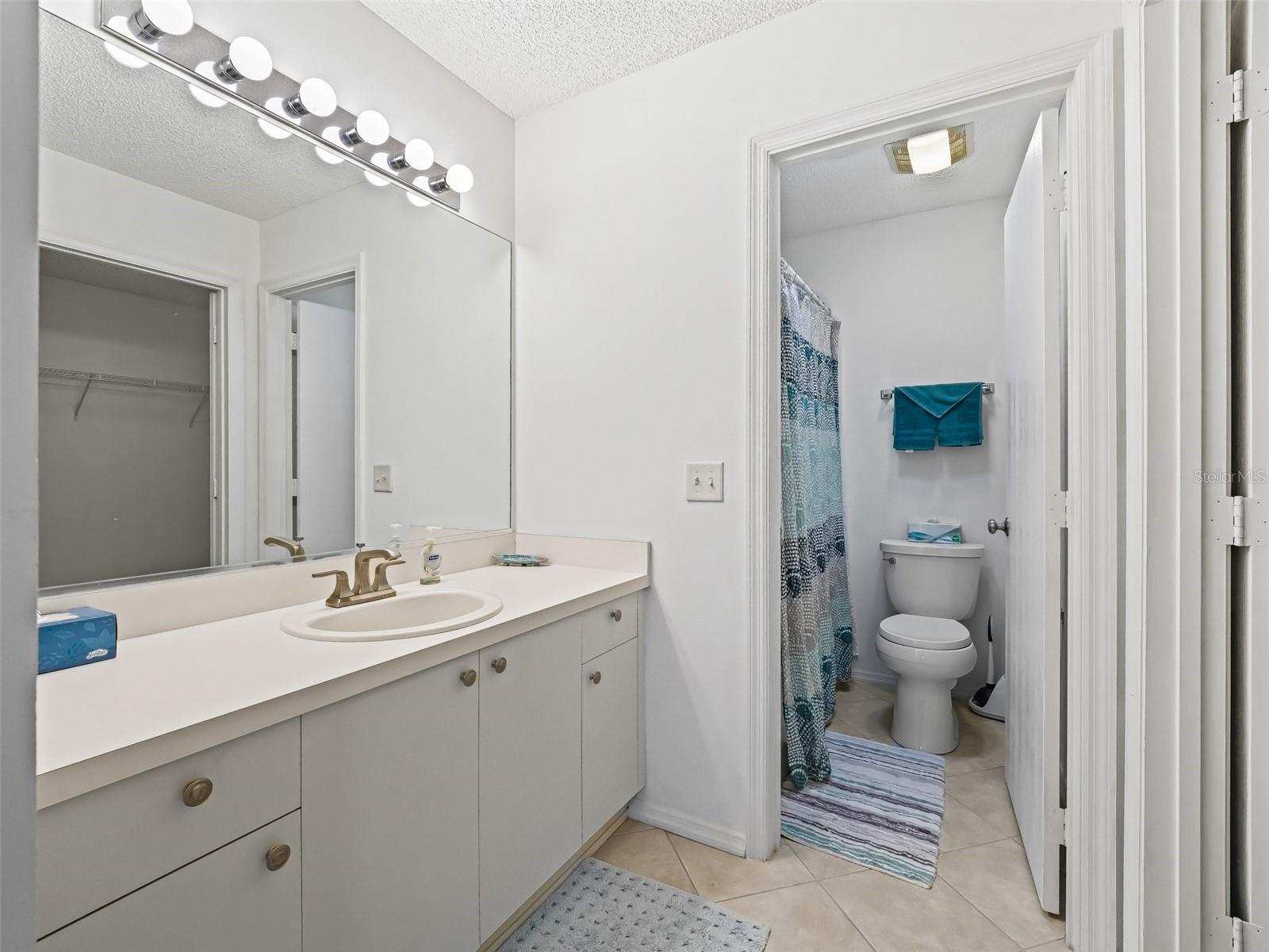 16958 SE 94TH SUNNYBROOK CIR, THE VILLAGES, FL, 32162