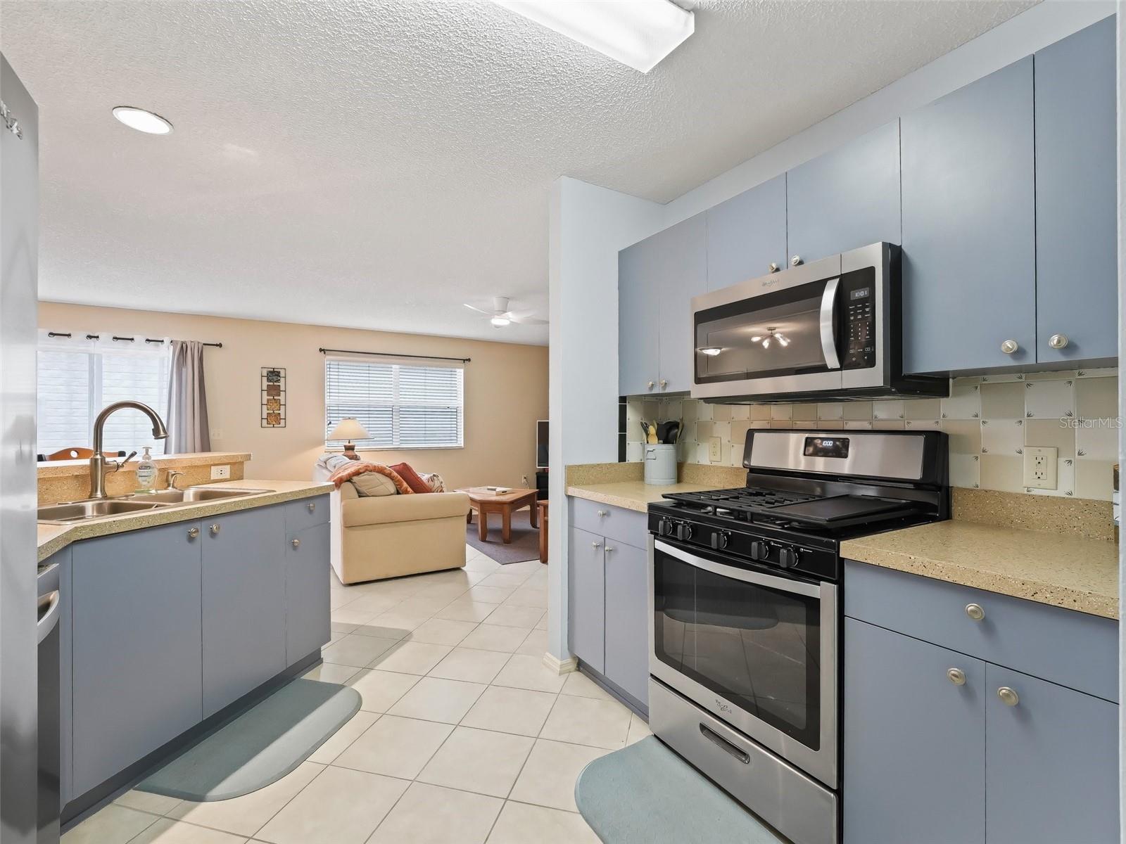 16958 SE 94TH SUNNYBROOK CIR, THE VILLAGES, FL, 32162