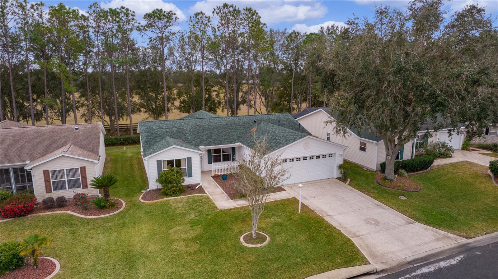 1309 BALLESTEROS DR, THE VILLAGES, FL, 32162