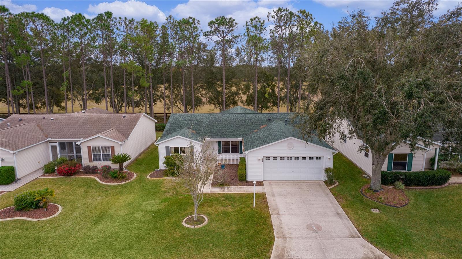 1309 BALLESTEROS DR, THE VILLAGES, FL, 32162