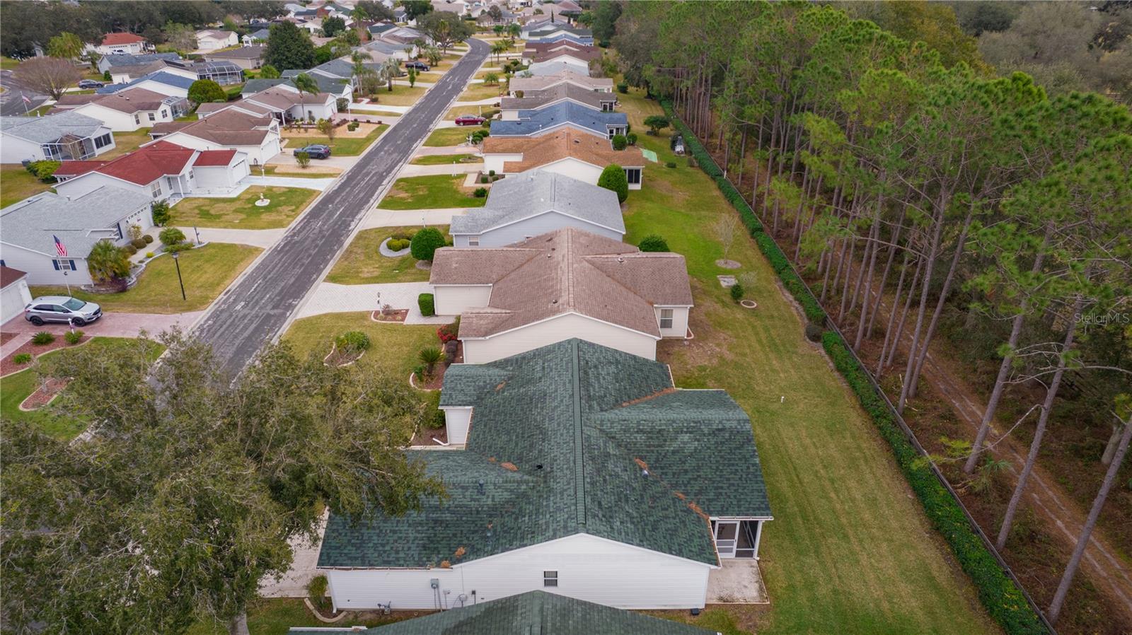 1309 BALLESTEROS DR, THE VILLAGES, FL, 32162
