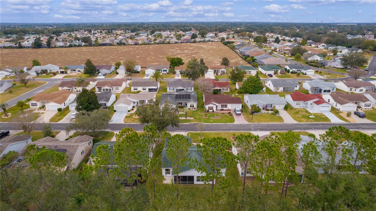 1309 BALLESTEROS DR, THE VILLAGES, FL, 32162