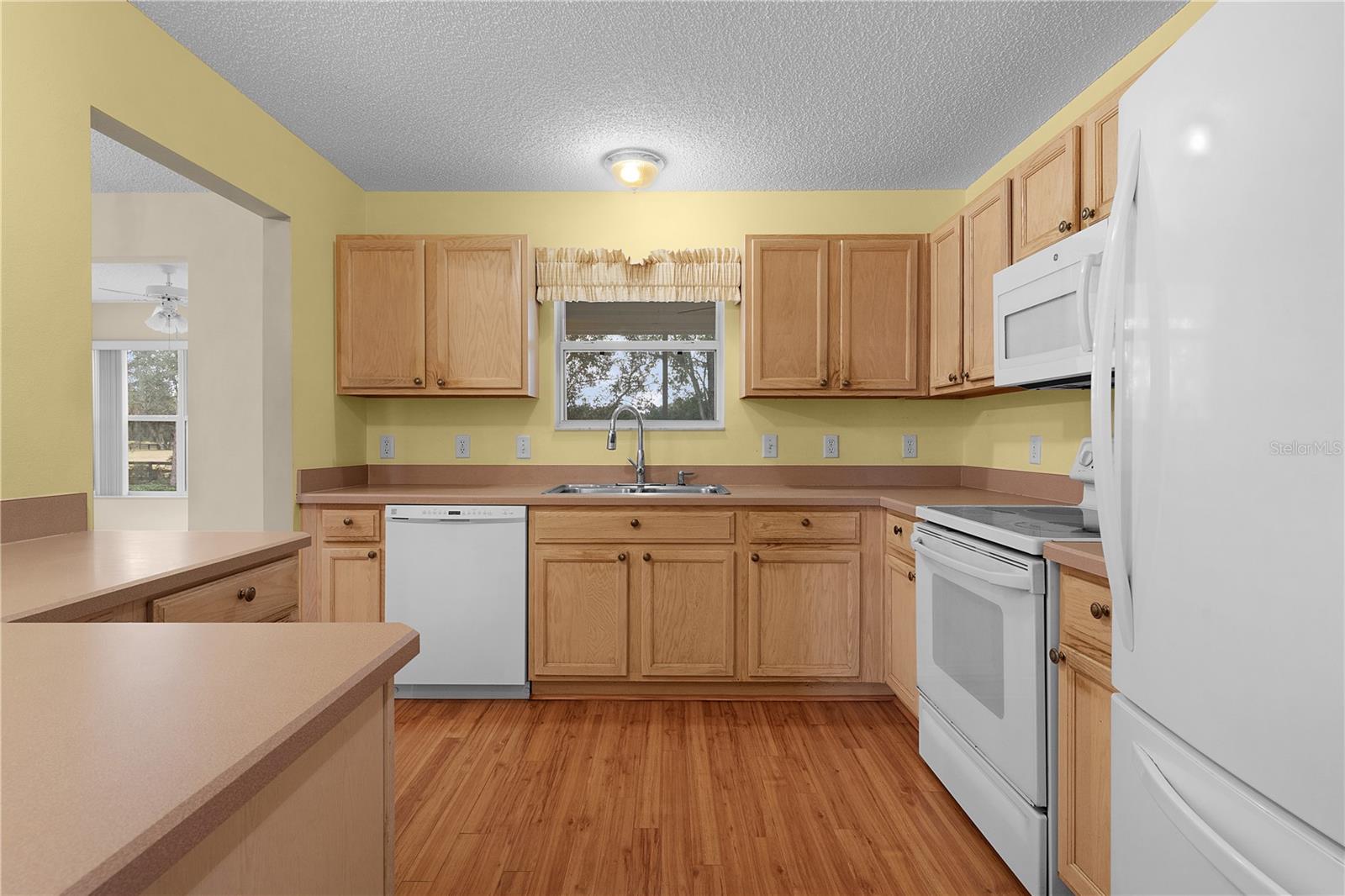 1309 BALLESTEROS DR, THE VILLAGES, FL, 32162