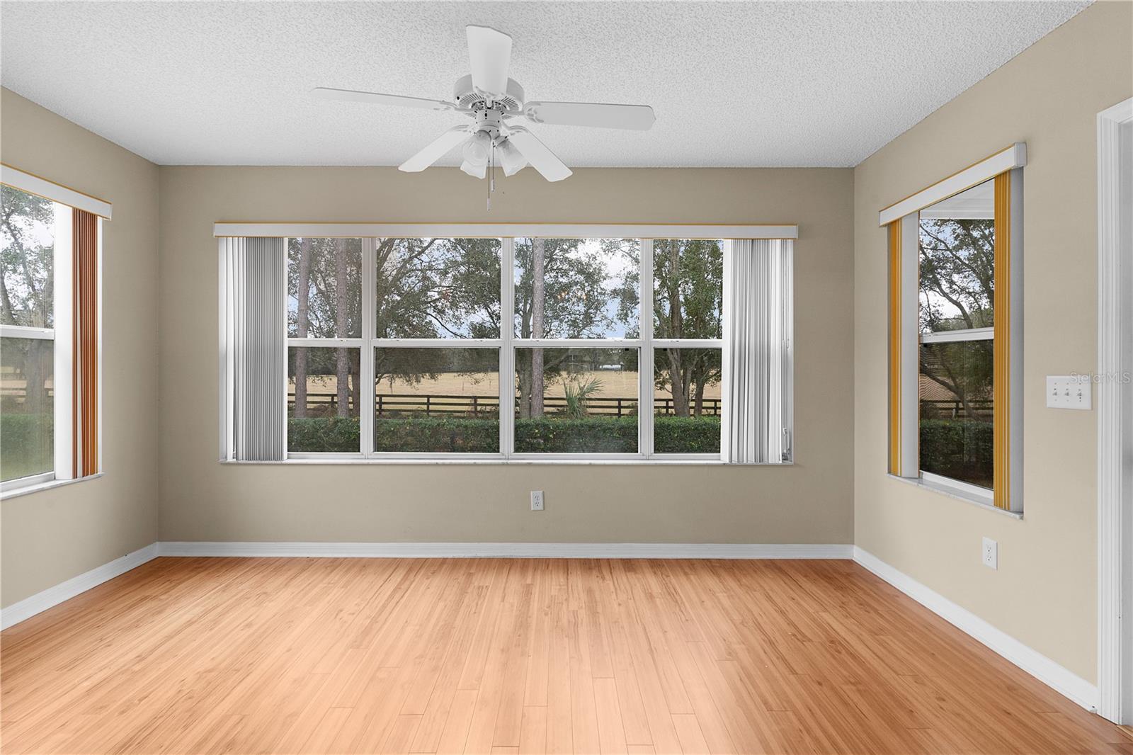 1309 BALLESTEROS DR, THE VILLAGES, FL, 32162