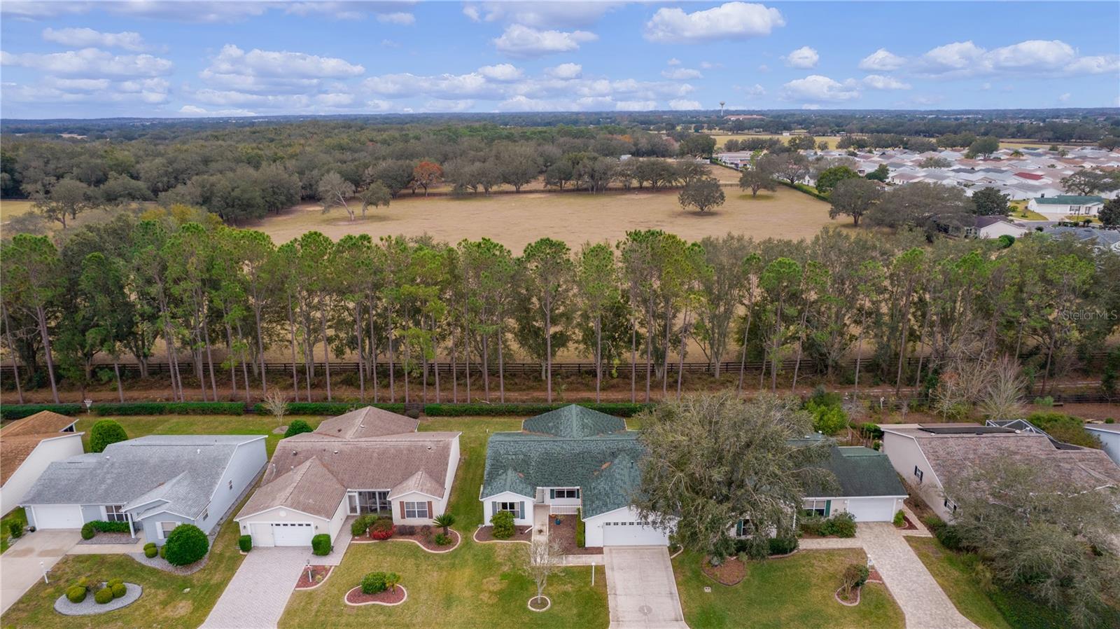 1309 BALLESTEROS DR, THE VILLAGES, FL, 32162