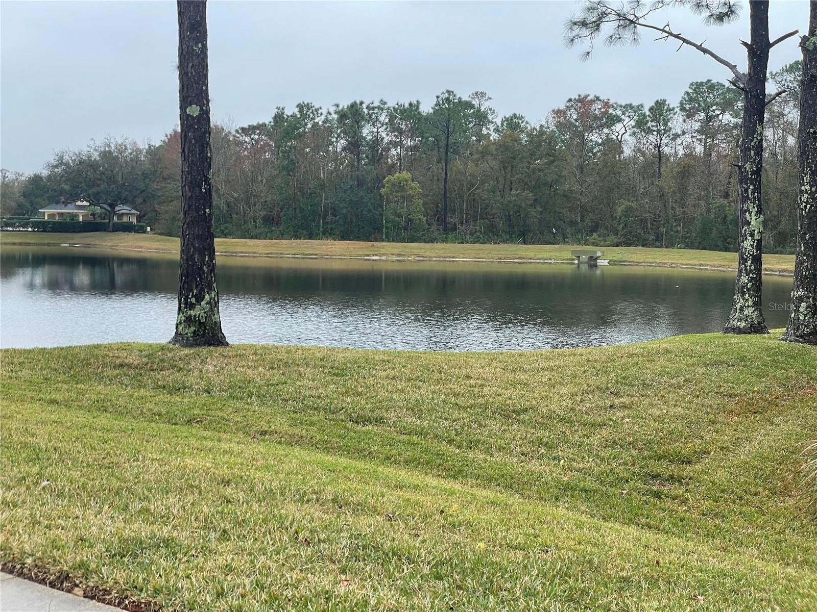 13055 LAKE LIVE OAK DR, ORLANDO, FL, 32828