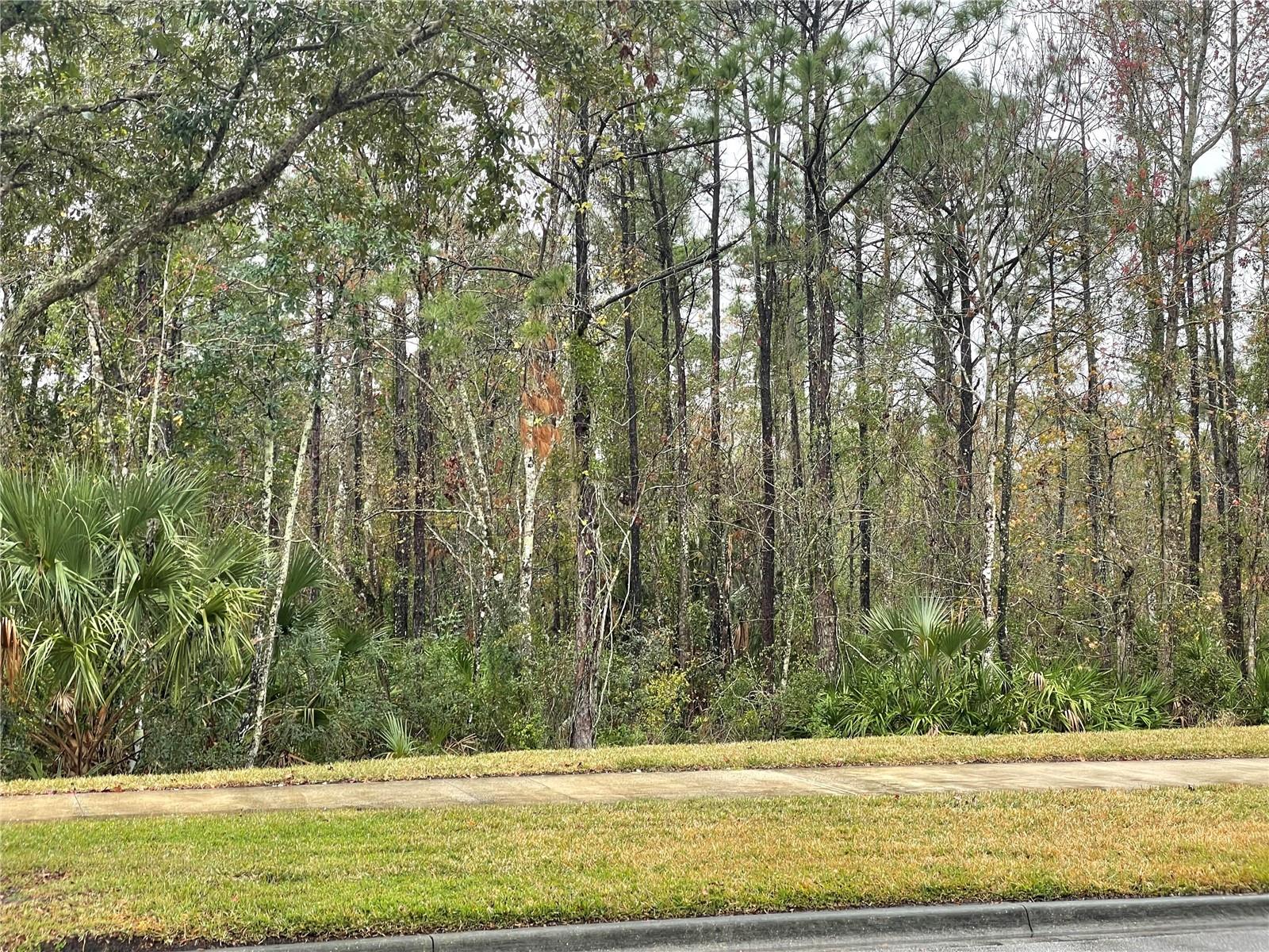 13055 LAKE LIVE OAK DR, ORLANDO, FL, 32828