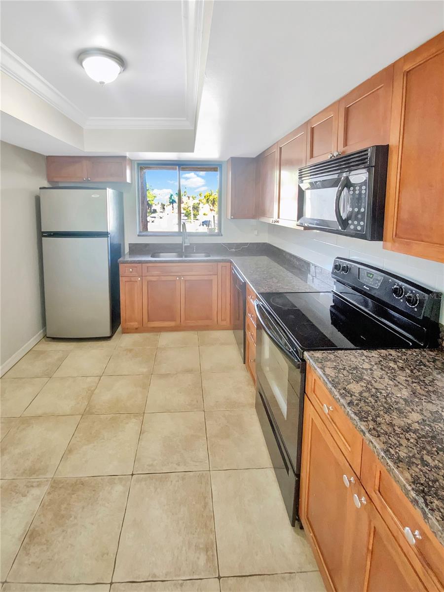 705 S VILLAGE DR N #205, ST PETERSBURG, FL, 33716