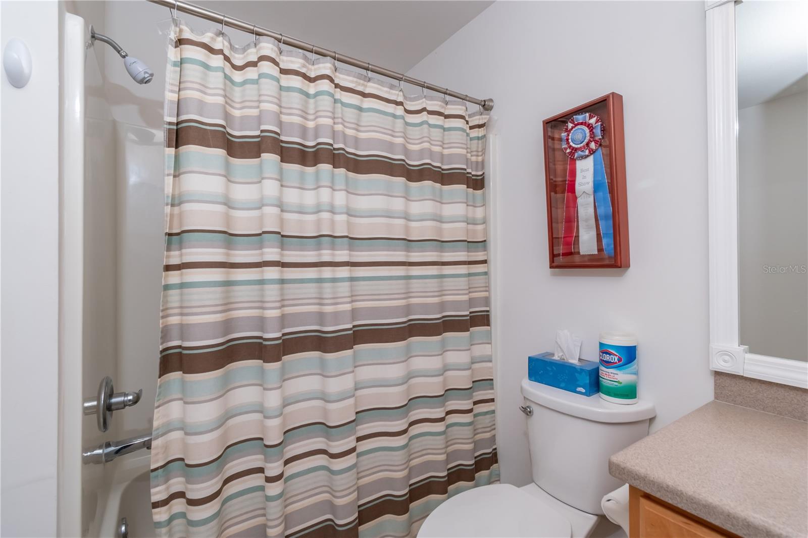8310 SW 79TH CIR, OCALA, FL, 34481