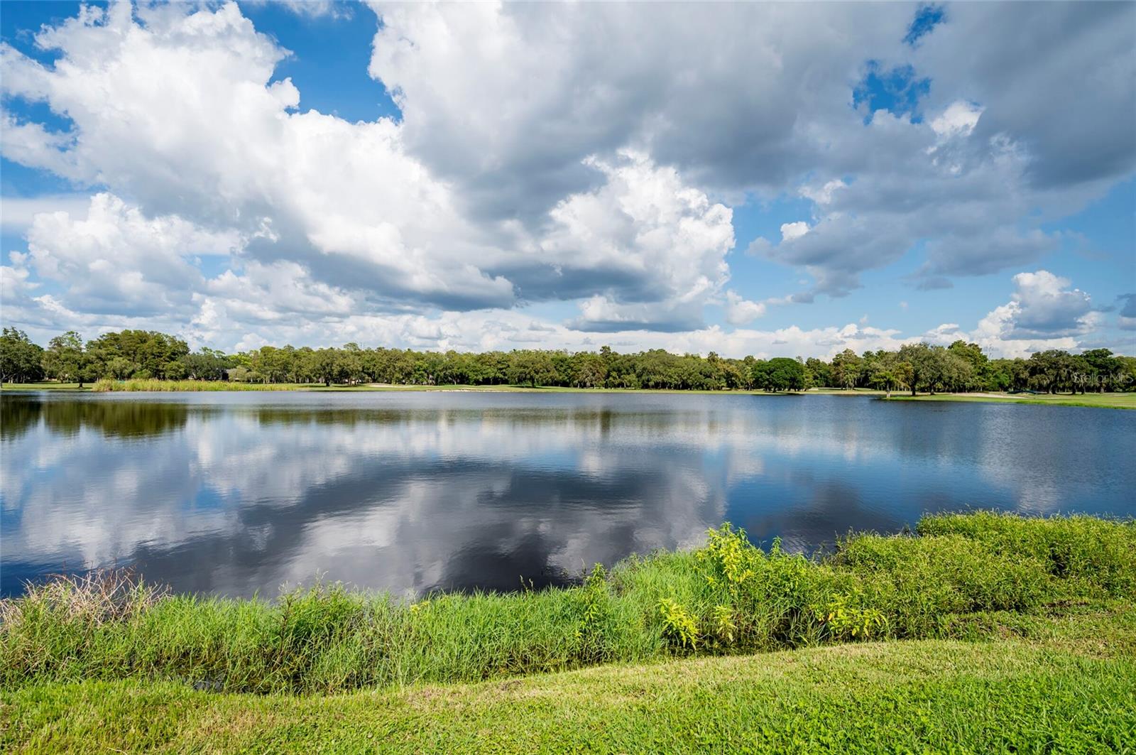 36750 US HIGHWAY 19 N #04221, PALM HARBOR, FL, 34684