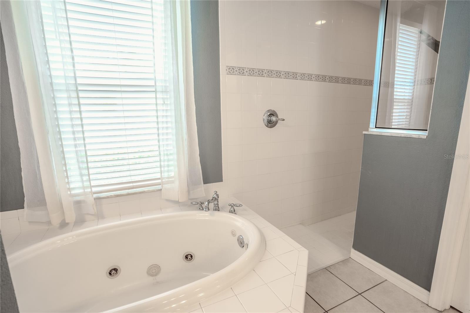 18209 TIVOLI LN, LUTZ, FL, 33558