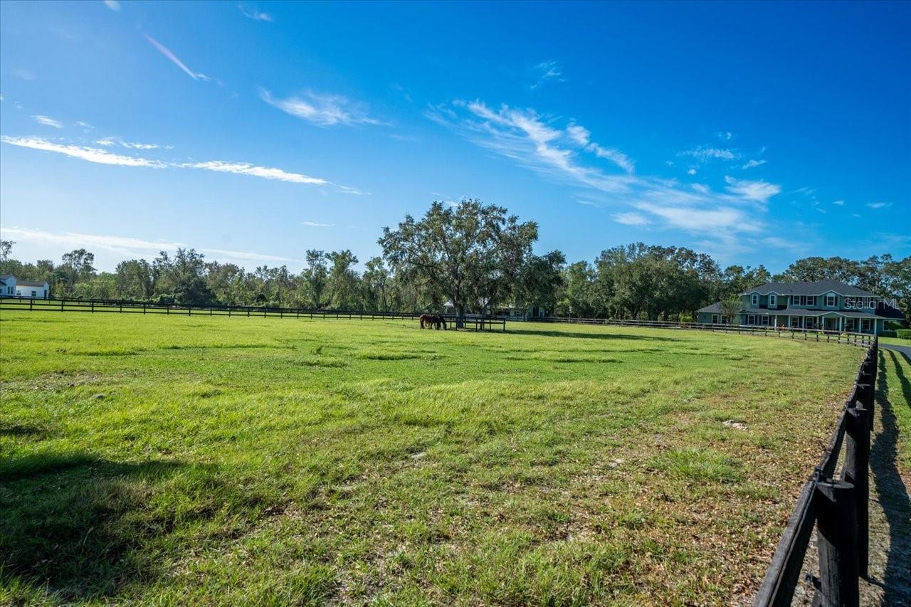 17120 BOY SCOUT RD, ODESSA, FL, 33556