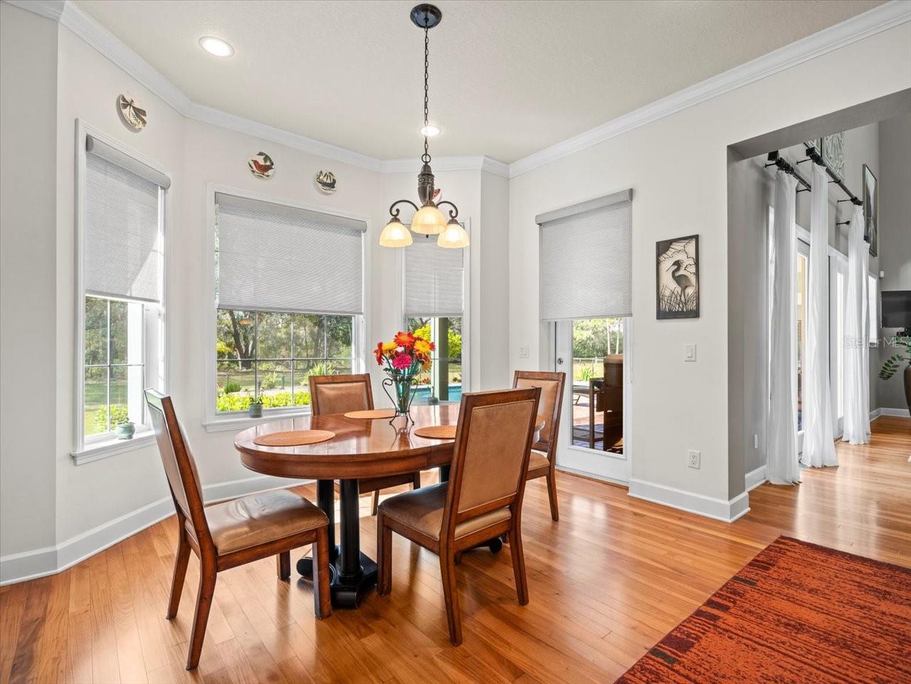17120 BOY SCOUT RD, ODESSA, FL, 33556