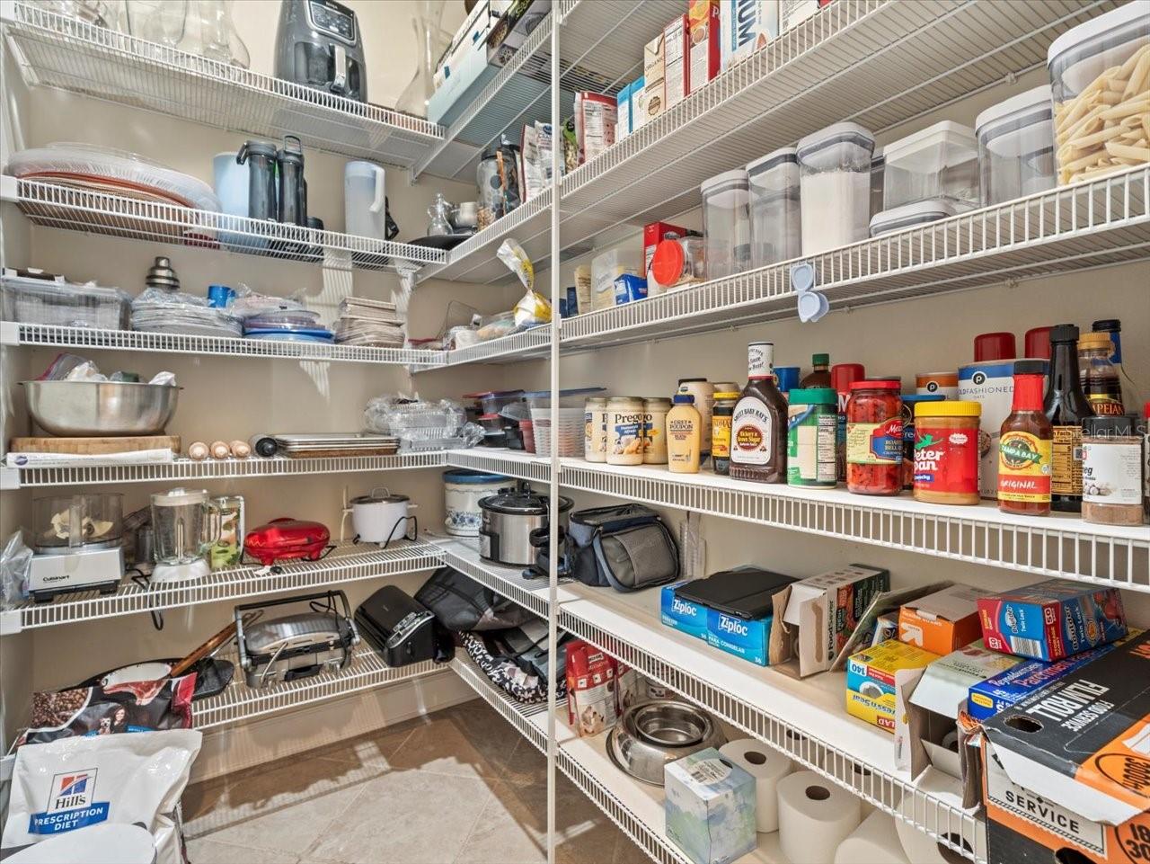 17120 BOY SCOUT RD, ODESSA, FL, 33556