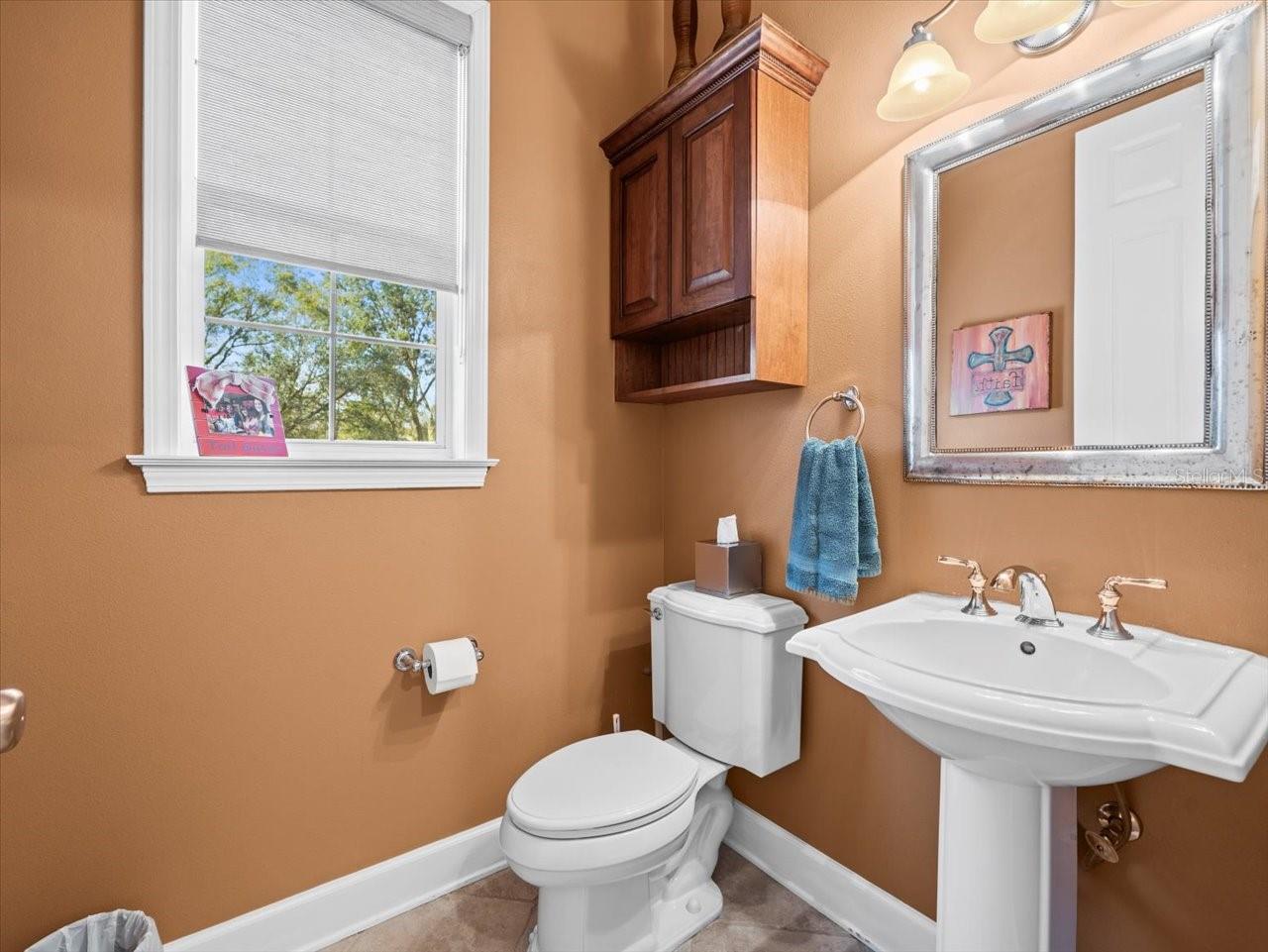 17120 BOY SCOUT RD, ODESSA, FL, 33556
