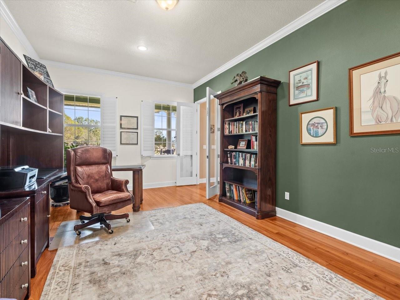 17120 BOY SCOUT RD, ODESSA, FL, 33556