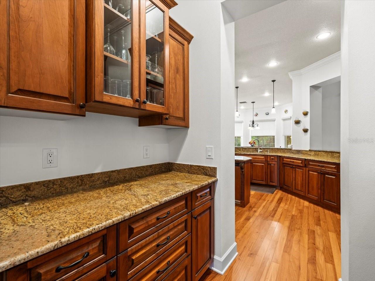 17120 BOY SCOUT RD, ODESSA, FL, 33556
