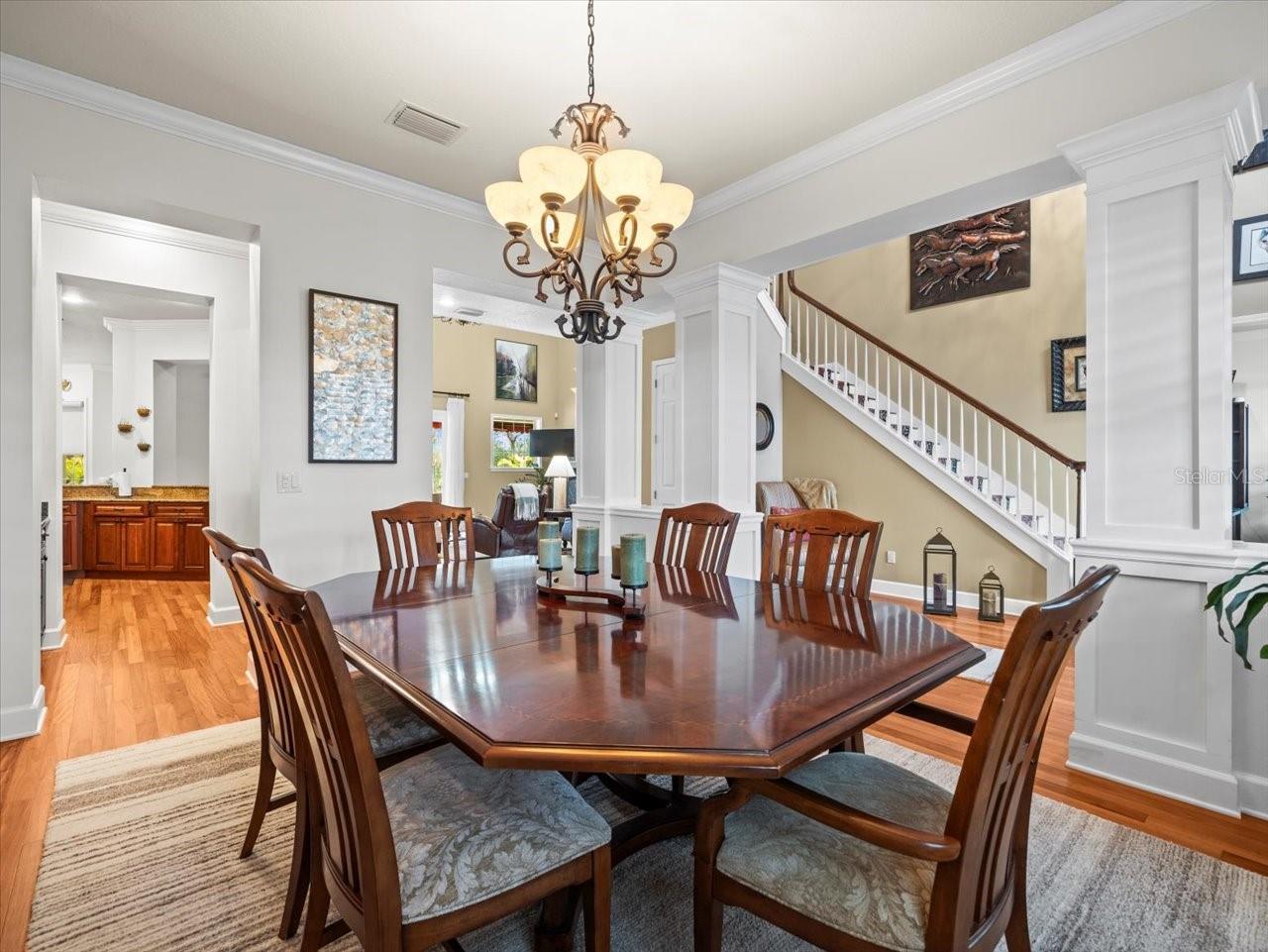 17120 BOY SCOUT RD, ODESSA, FL, 33556