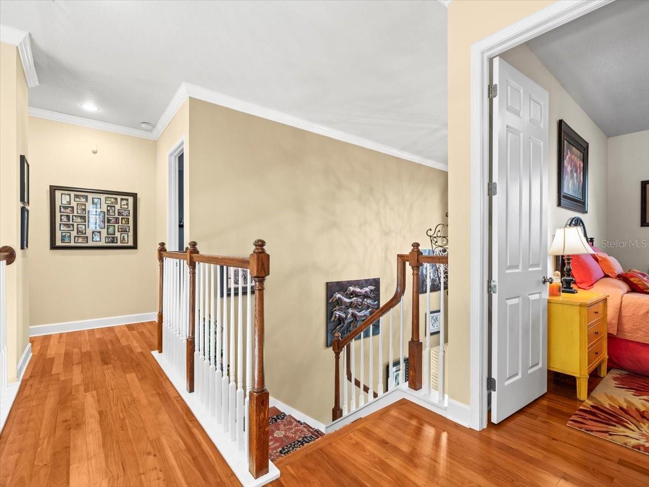 17120 BOY SCOUT RD, ODESSA, FL, 33556