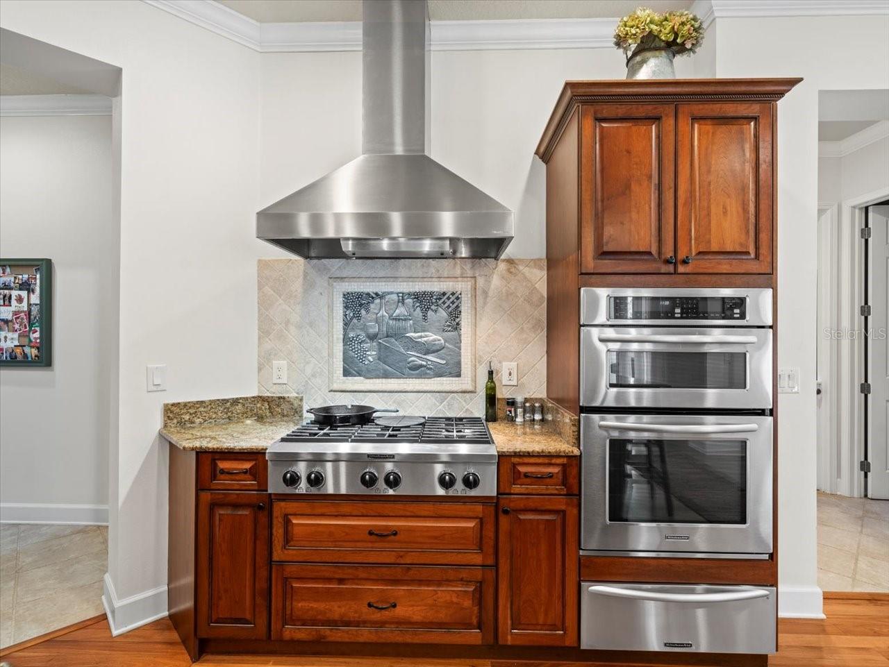 17120 BOY SCOUT RD, ODESSA, FL, 33556