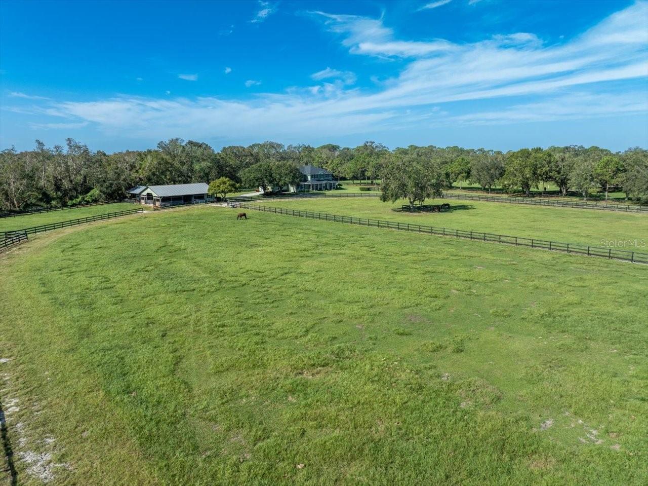 17120 BOY SCOUT RD, ODESSA, FL, 33556