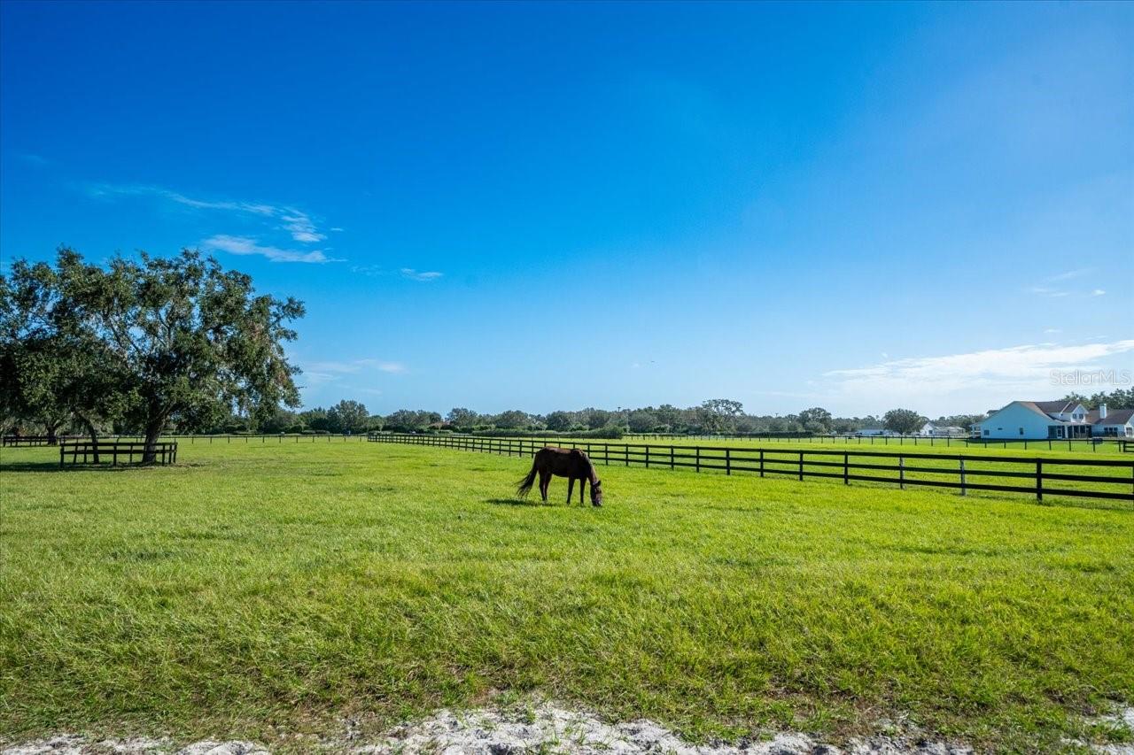 17120 BOY SCOUT RD, ODESSA, FL, 33556