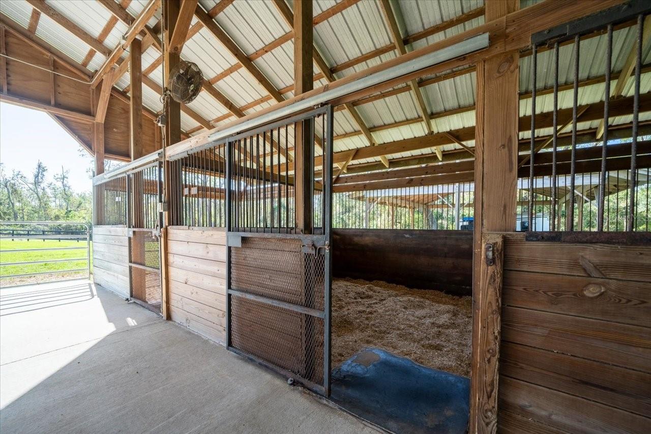 17120 BOY SCOUT RD, ODESSA, FL, 33556