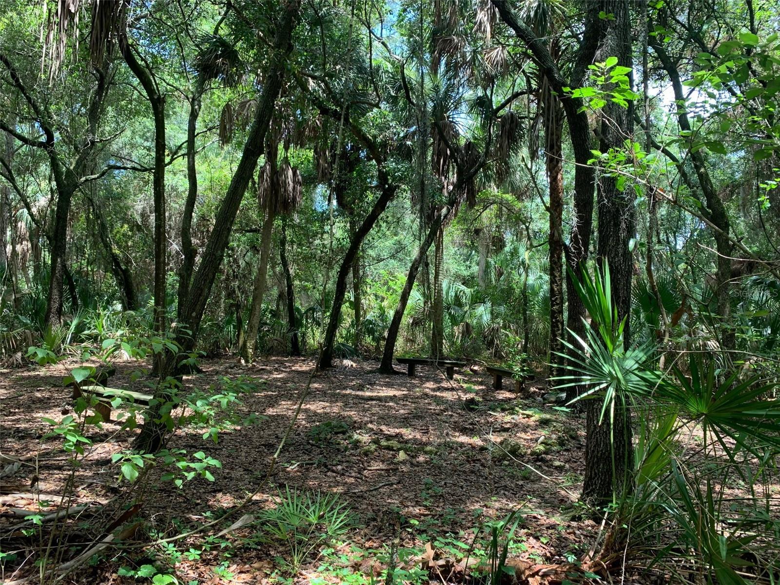 1101 ANCLOTE BLVD, TARPON SPRINGS, FL, 34689