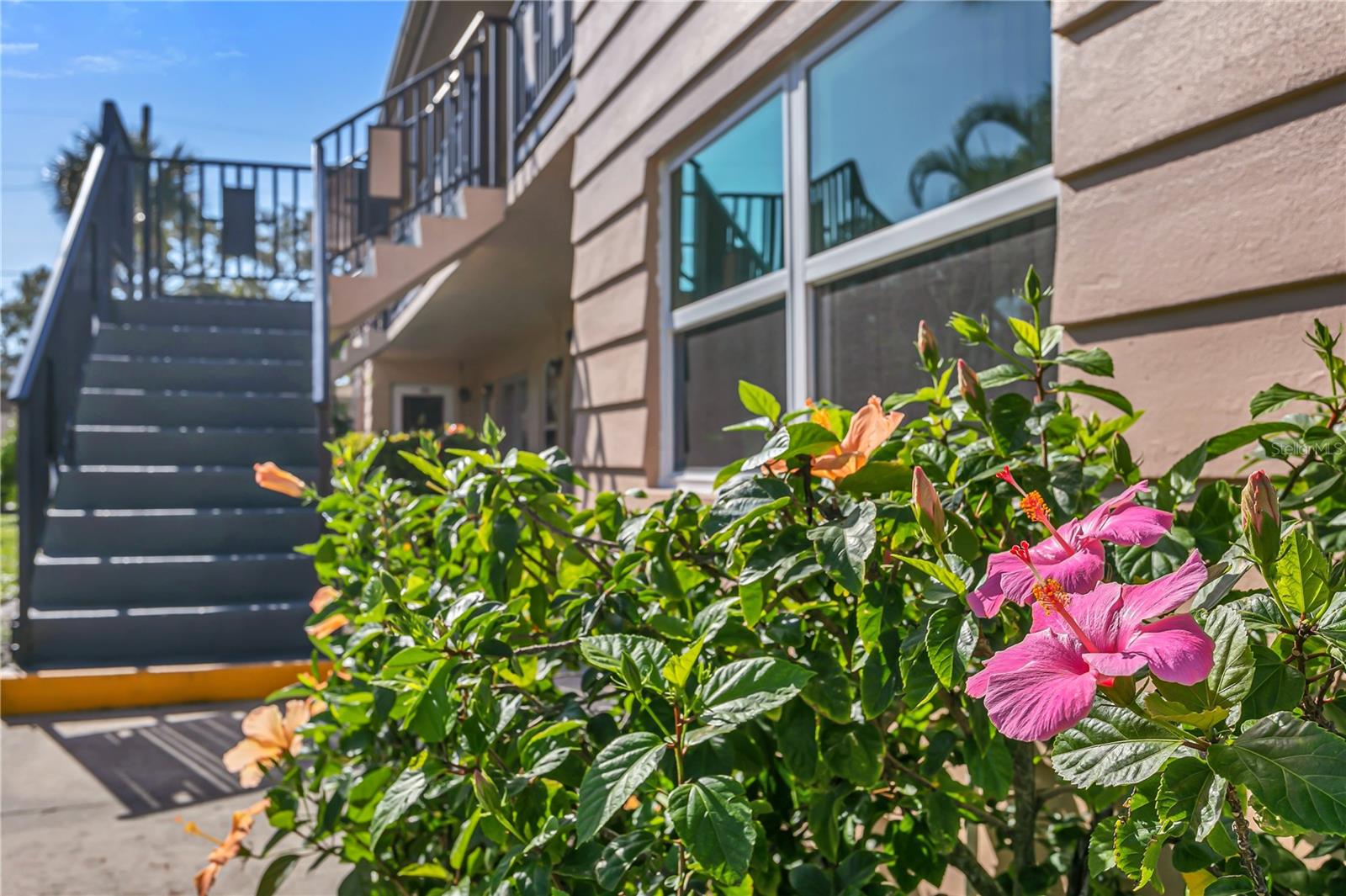 216 36TH AVE N #202B, ST PETERSBURG, FL, 33704