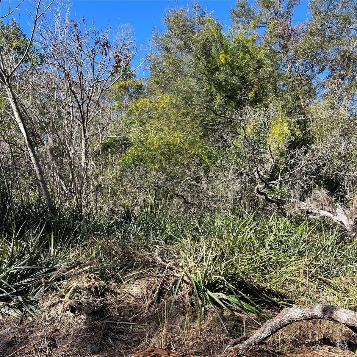 21513 DURDEN RD, DADE CITY, FL, 33523