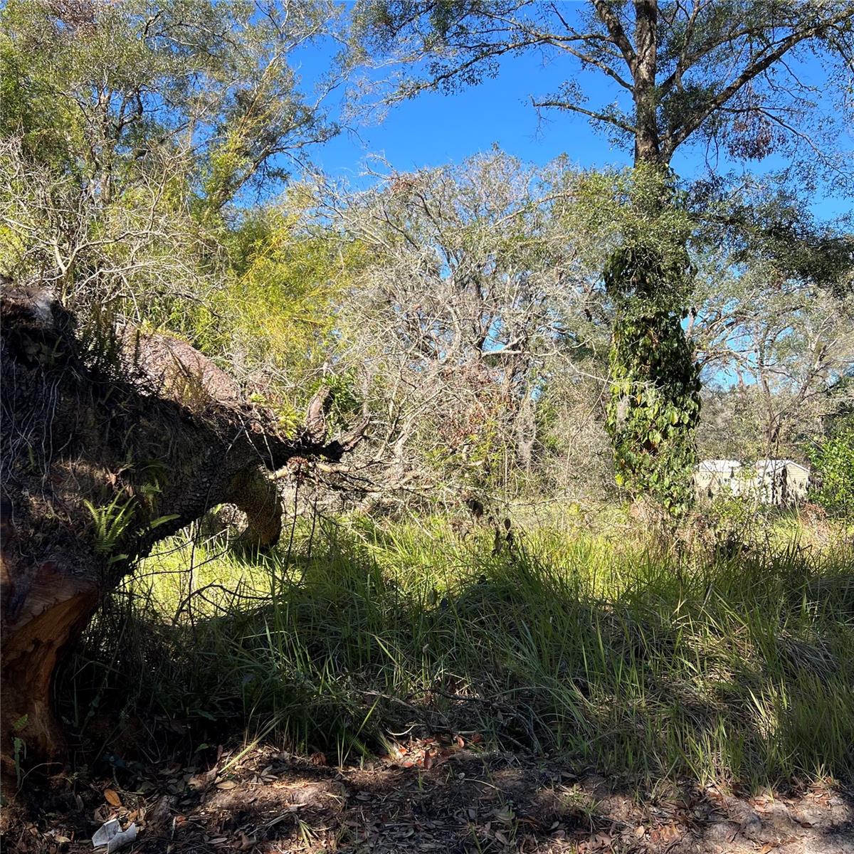 21513 DURDEN RD, DADE CITY, FL, 33523