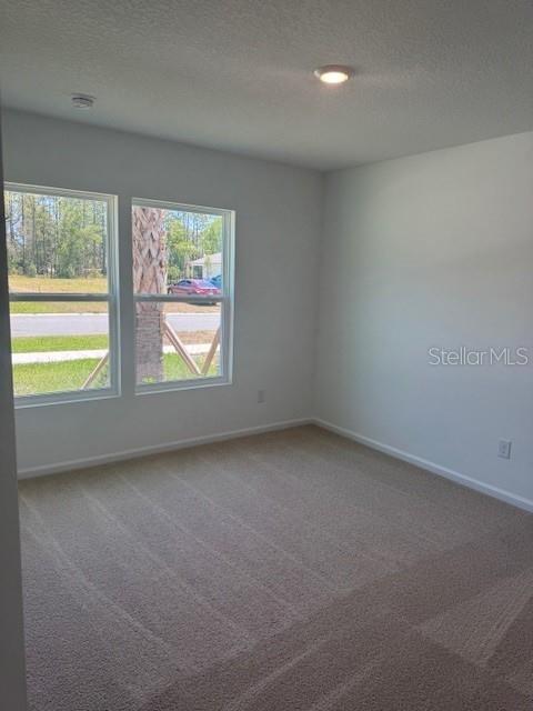 186 GREENWOOD DR, PALM COAST, FL, 32137