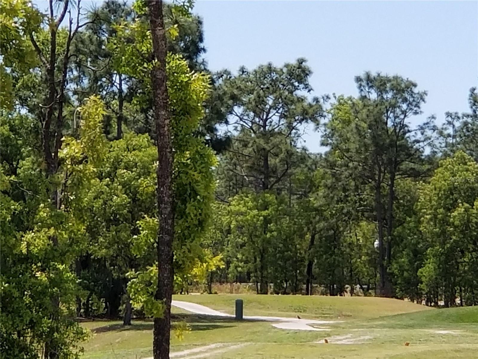 348 HICKORY COURSE TRL, OCALA, FL, 34472