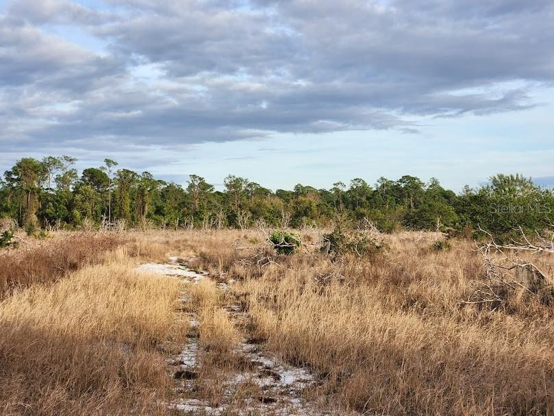 W FROSTPROOF RD #Lot 12, FROSTPROOF, FL, 33843