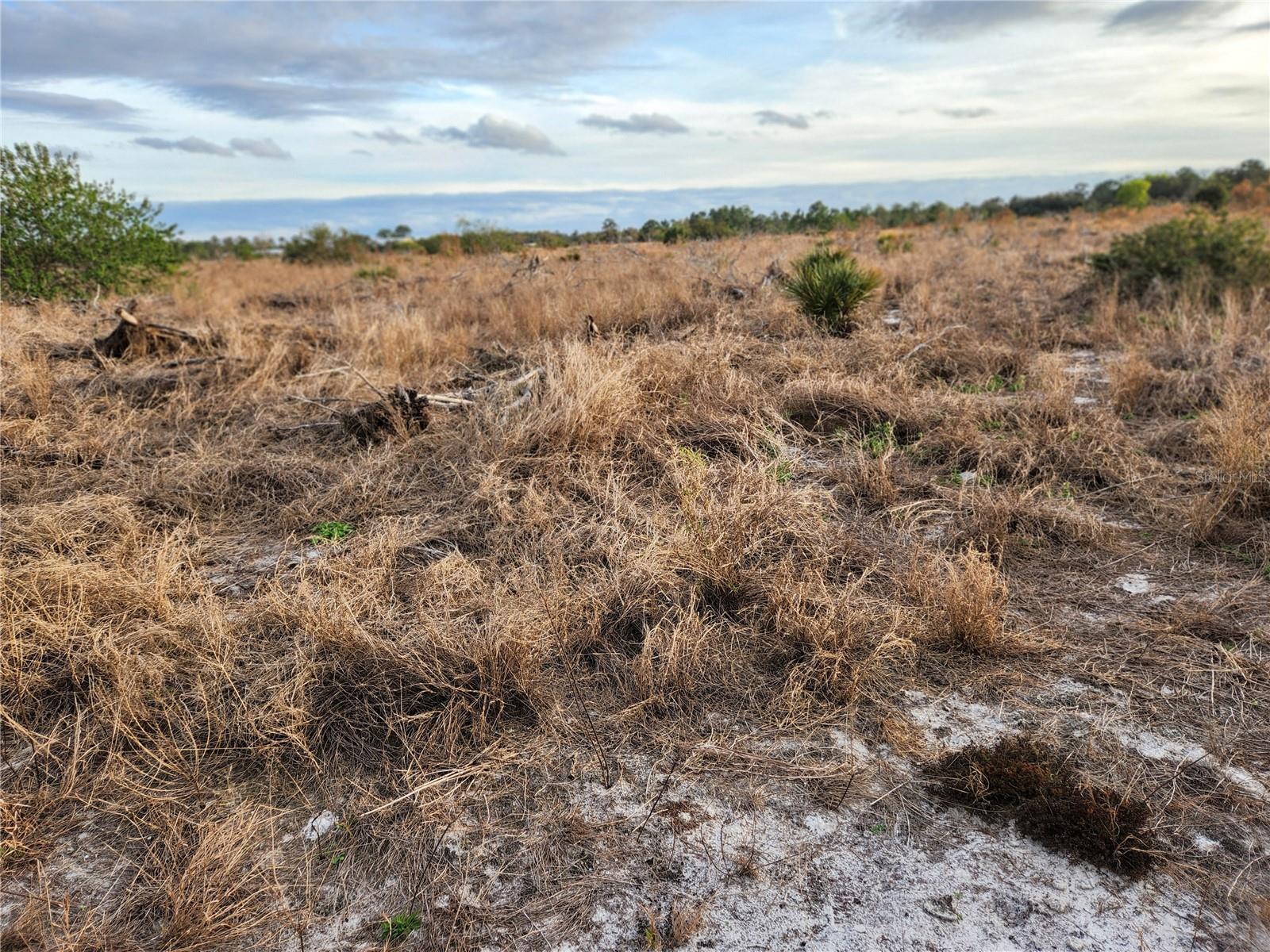 W FROSTPROOF RD #Lot 12, FROSTPROOF, FL, 33843