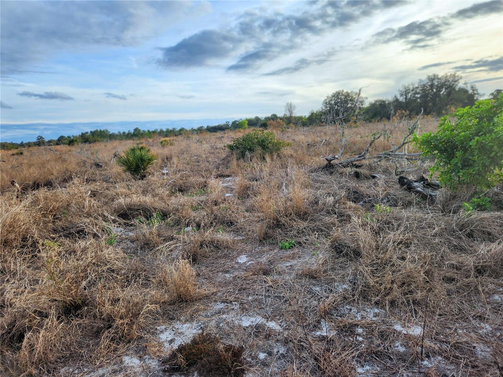 W FROSTPROOF RD #Lot 12, FROSTPROOF, FL, 33843