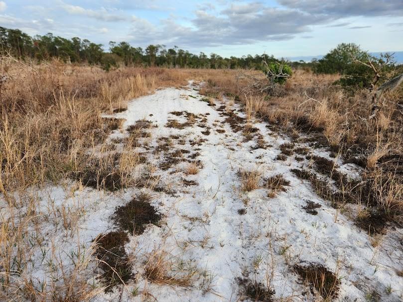 W FROSTPROOF RD #Lot 12, FROSTPROOF, FL, 33843