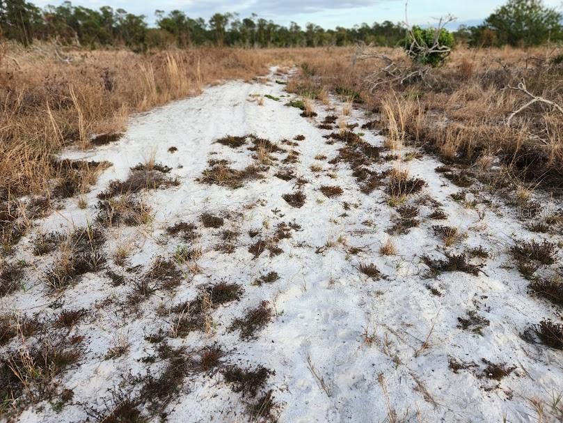 W FROSTPROOF RD #Lot 12, FROSTPROOF, FL, 33843