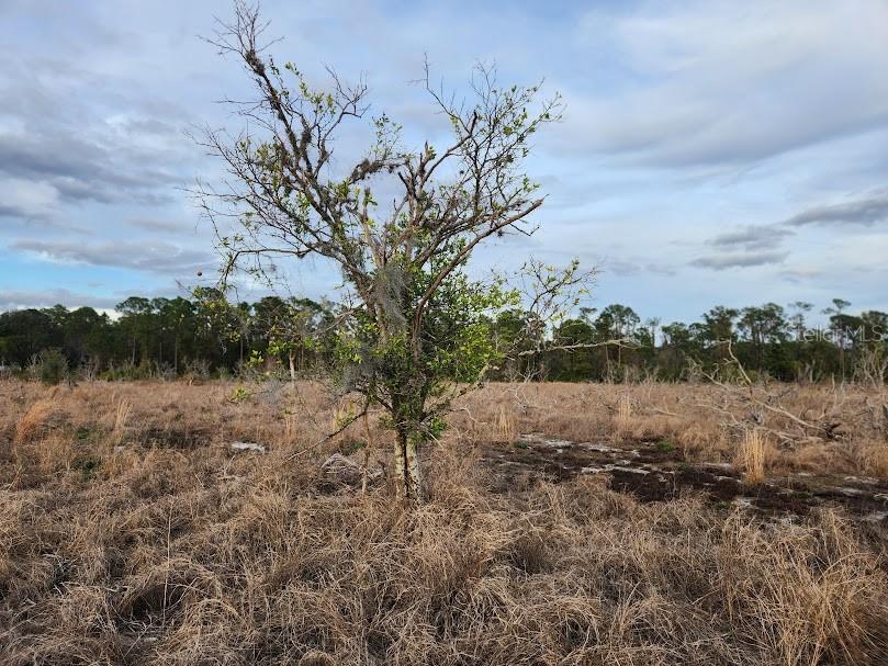 W FROSTPROOF RD #Lot 12, FROSTPROOF, FL, 33843