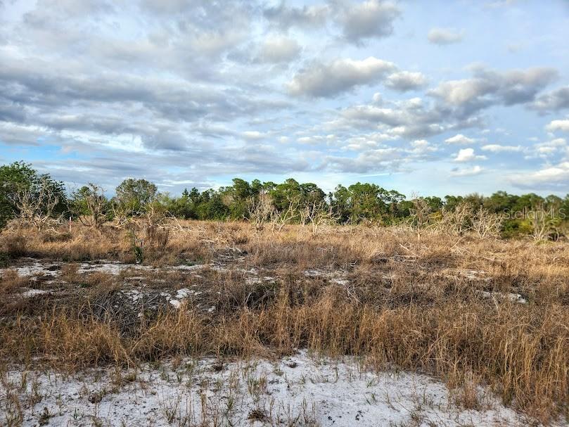 W FROSTPROOF RD #Lot 12, FROSTPROOF, FL, 33843