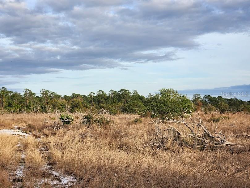 W FROSTPROOF RD #Lot 12, FROSTPROOF, FL, 33843